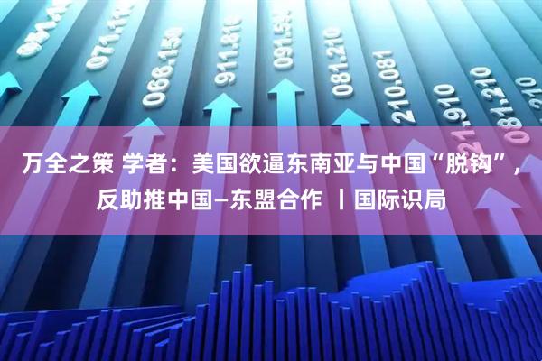 万全之策 学者：美国欲逼东南亚与中国“脱钩”，反助推中国—东盟合作 丨国际识局