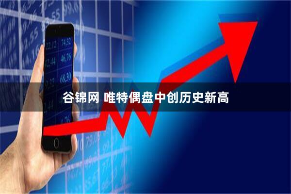 谷锦网 唯特偶盘中创历史新高