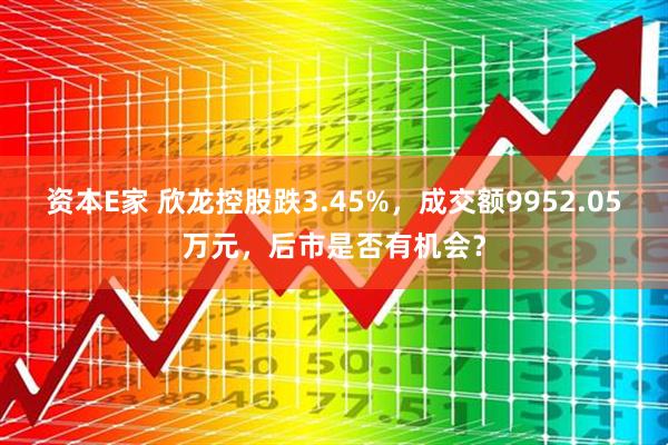 资本E家 欣龙控股跌3.45%,成交额9952.05万元,后市是否有机会?
